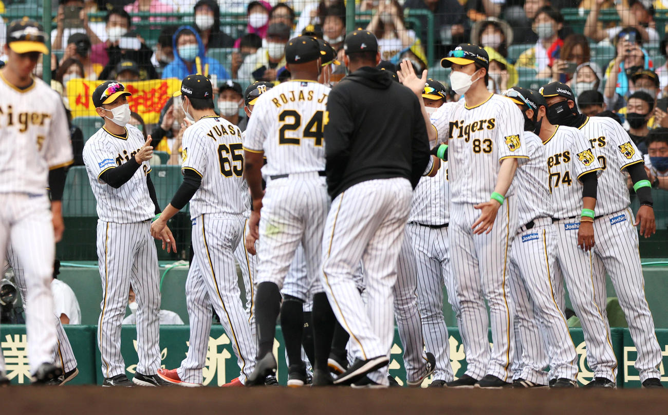 阪神対日本ハム　阪神矢野監督（左から2人目）は日本ハムに勝利し、ナインとタッチを交わす（撮影・上山淳一）