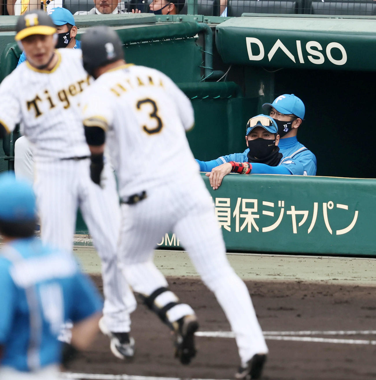 阪神対日本ハム　3回裏阪神2死一、三塁、新庄監督は左越え3点本塁打を放った大山（手前）を見つめる（撮影・加藤哉）