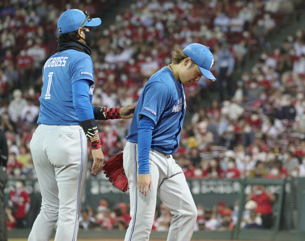 6月2日　広島対日本ハム　5回途中降板の伊藤（右）は新庄監督に出迎えられる
