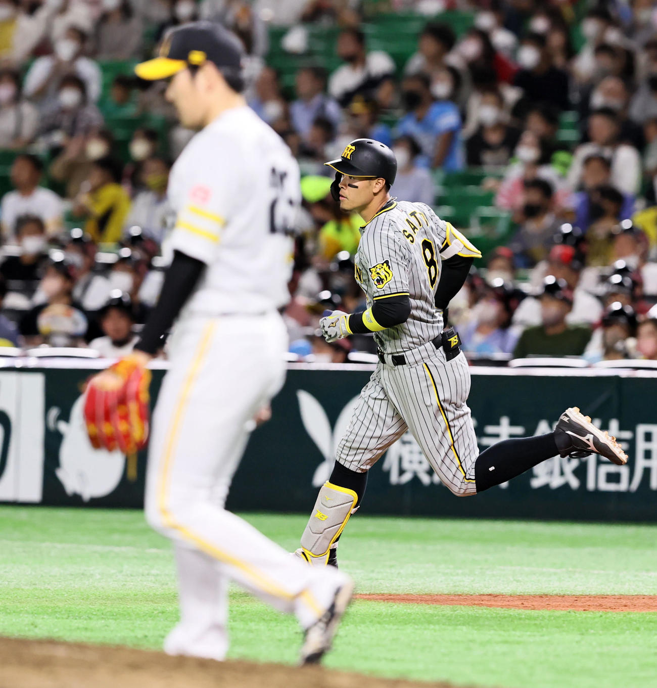 ソフトバンク対阪神　2回表阪神無死、佐藤輝明は左飛を打ち上げる。投手は石川柊太（撮影・加藤哉）