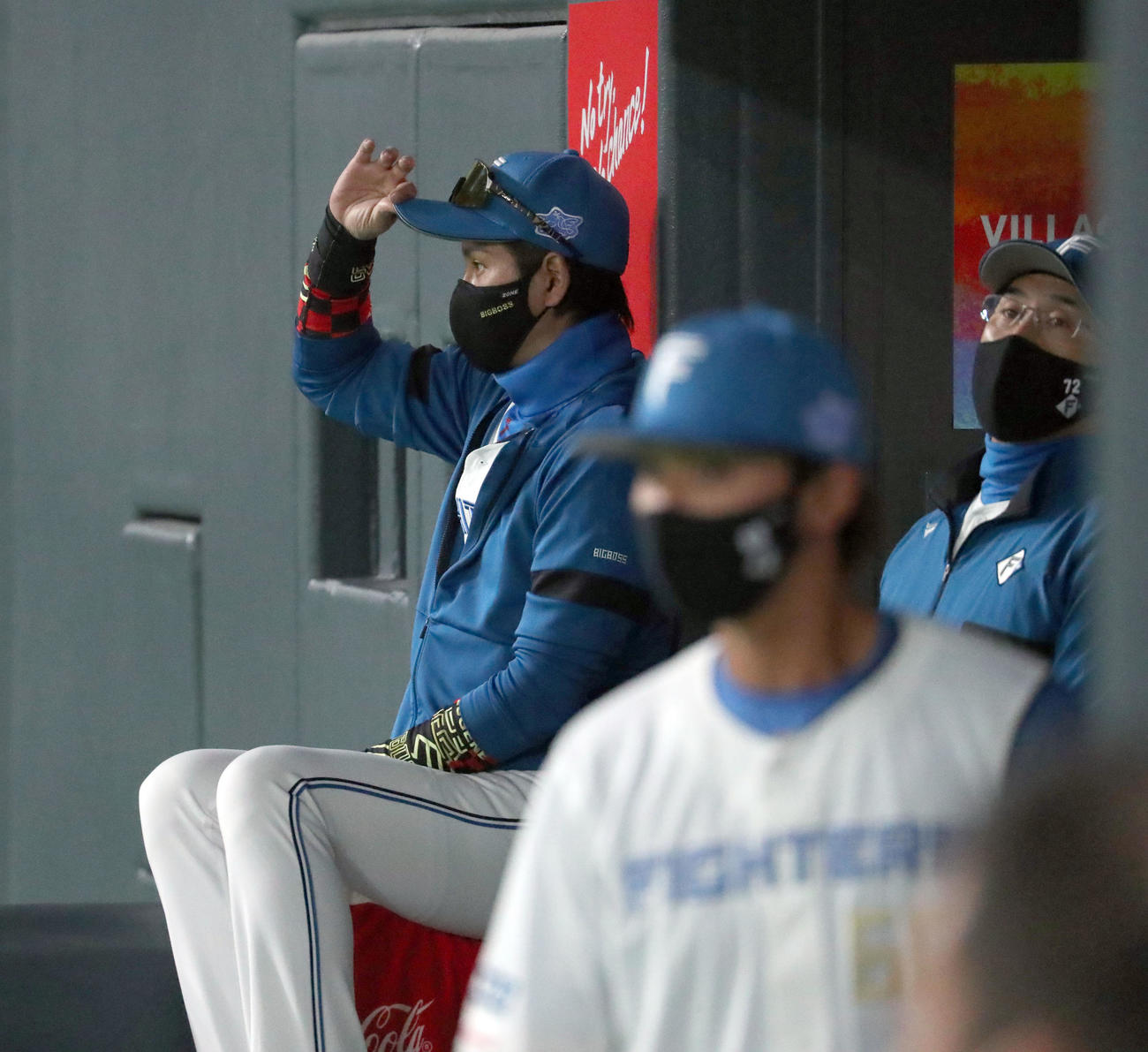 日本ハム対DeNA　ベンチから試合を見つめる日本ハム新庄監督（撮影・佐藤翔太）