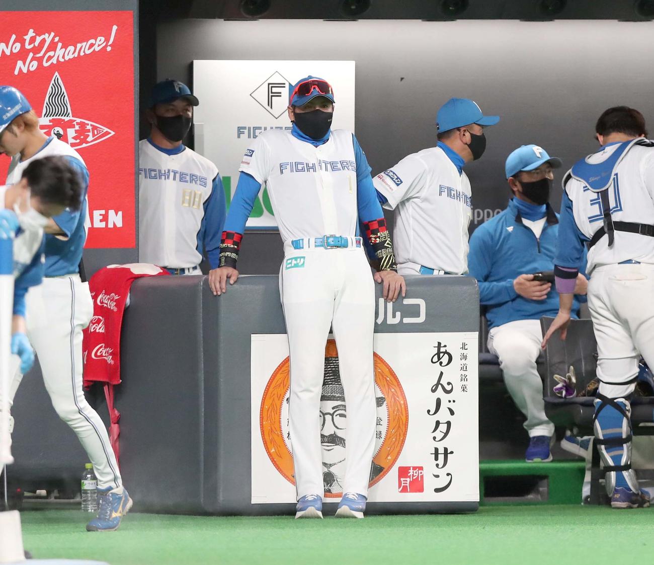 日本ハム対DeNA　ベンチ前でグラウンドを見つめる新庄監督（撮影・黒川智章）