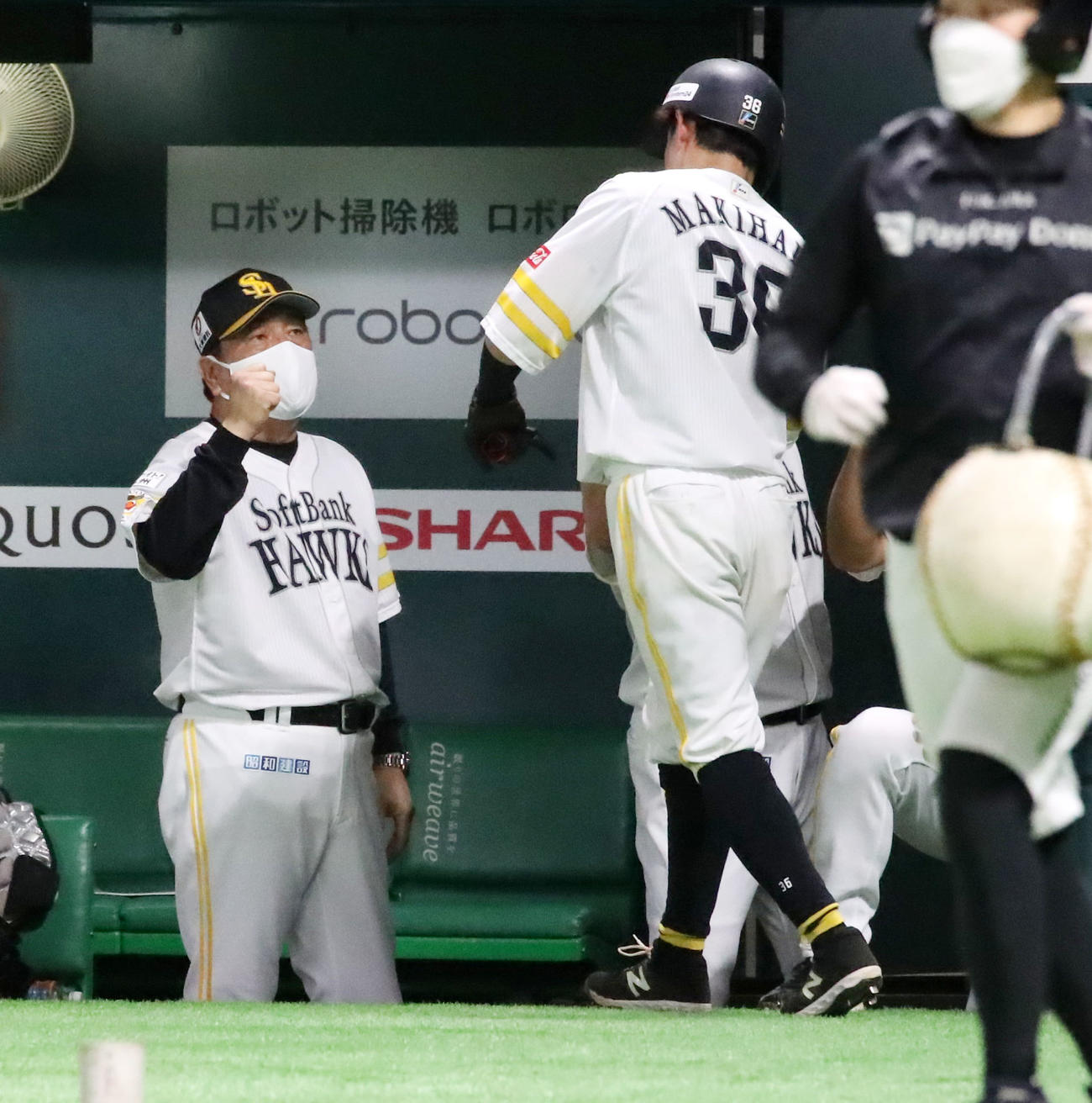 ソフトバンク対阪神　4回裏ソフトバンク無死満塁、藤本監督は明石の二ゴロで生還した三塁走者牧原大（右）をベンチで出迎える（撮影・加藤哉）