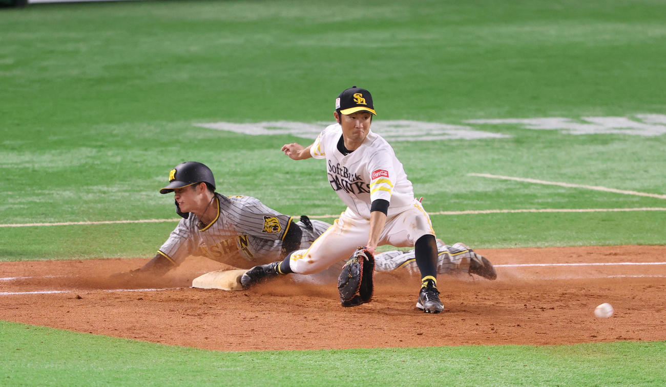 ソフトバンク対阪神　8回表阪神1死、中野拓夢は遊内野安打を放つ（撮影・梅根麻紀）