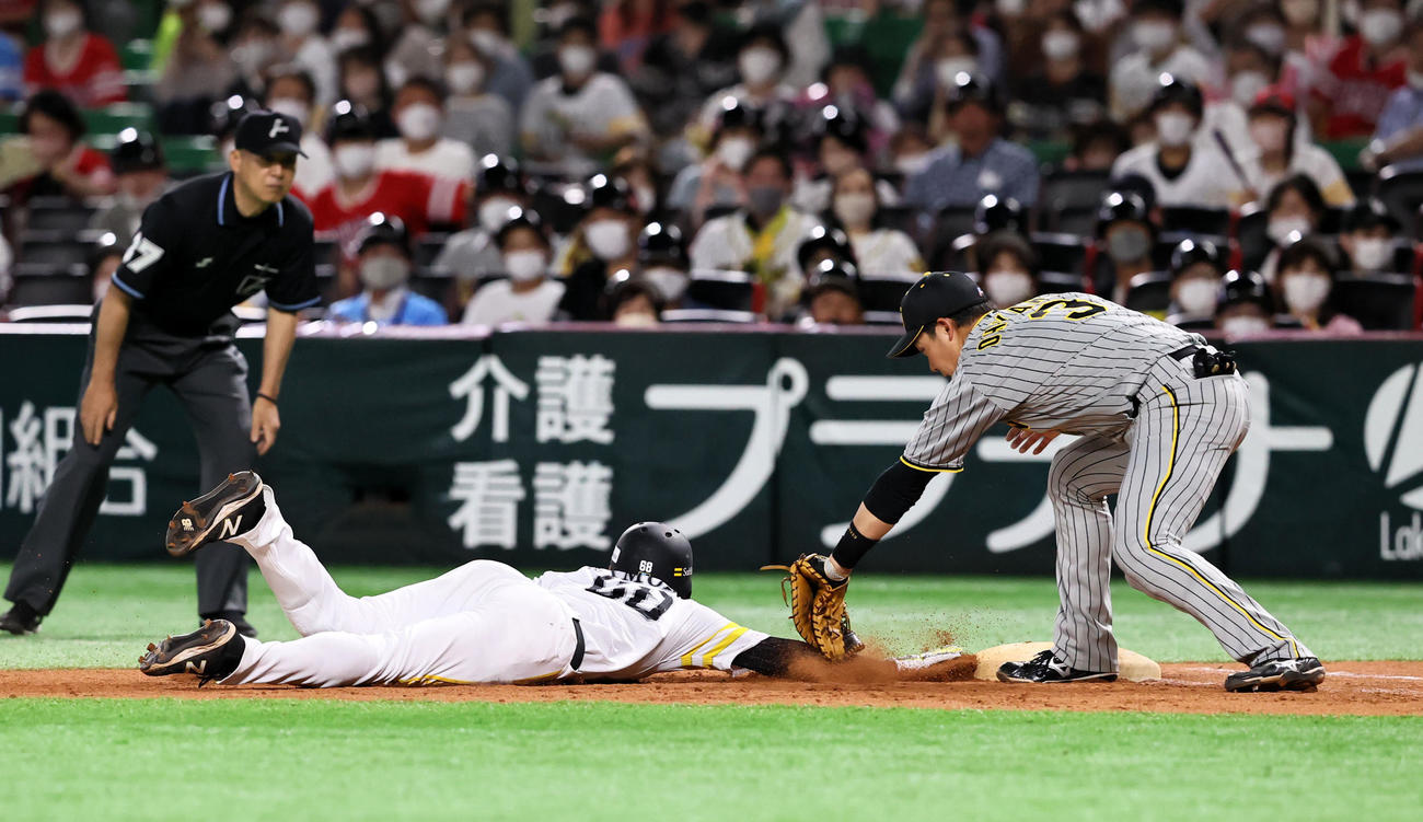 ソフトバンク対阪神　8回裏ソフトバンク1死一塁、一塁走者甲斐はけん制球に引っかかりアウトになる。一塁手は大山（撮影・加藤哉）