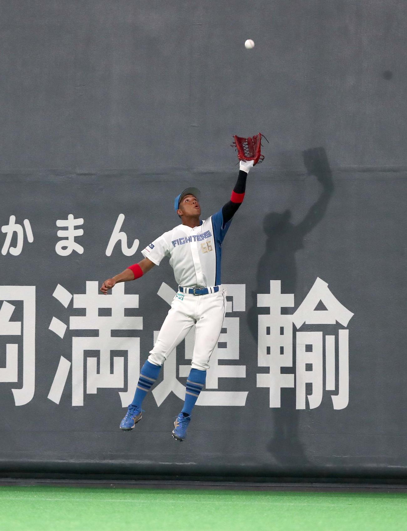 日本ハム対DeNA 9回表DeNA2死、関根の打球をジャンピングキャッチする万波（撮影・黒川智章）