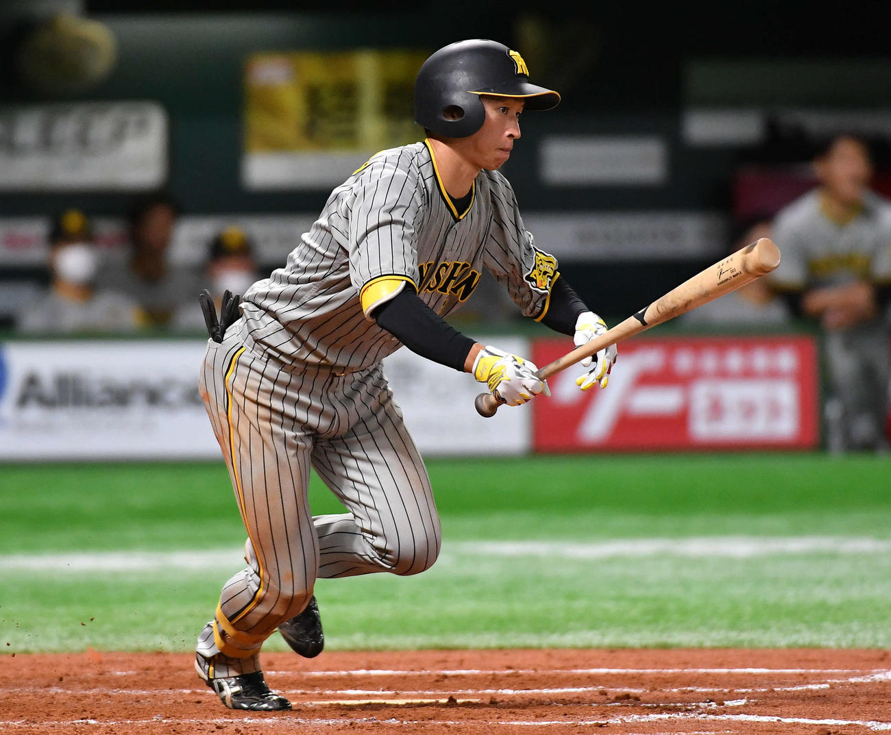 ソフトバンク対阪神　8回表阪神1死一塁、近本は右前安打を放つ（撮影・岩下翔太）
