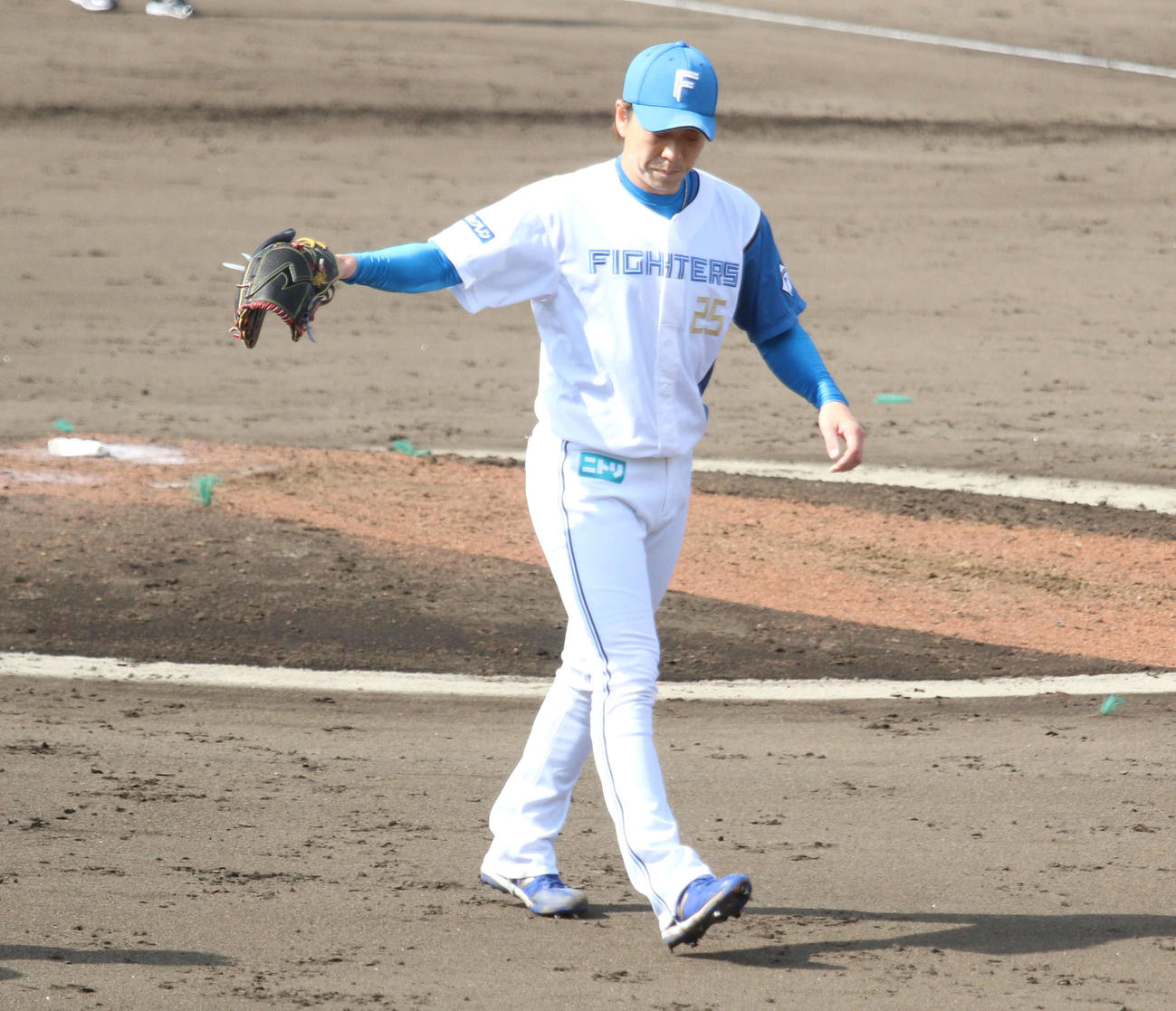 日本ハム対DeNA 7回に登板し、無失点に抑えた日本ハム宮西（撮影・木下大輔）