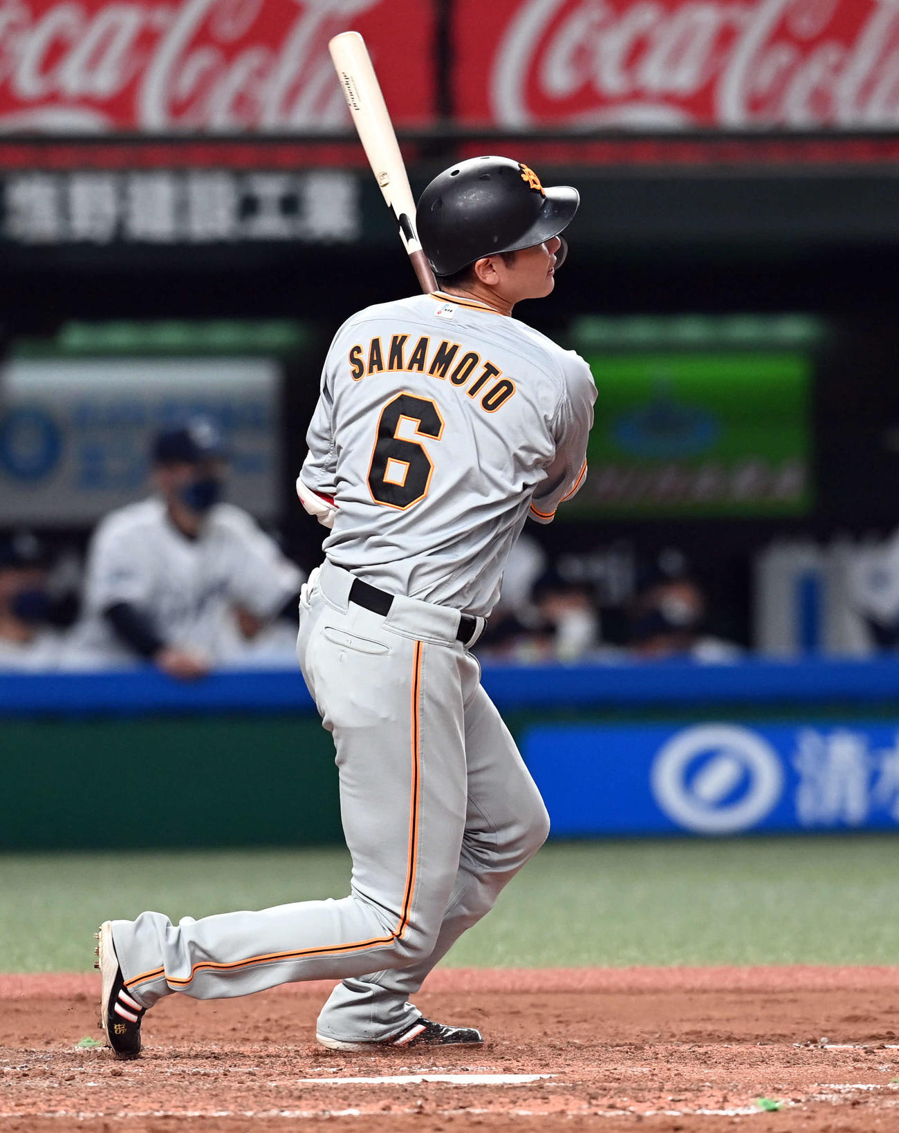 西武対巨人　5回表巨人無死一塁、中前に安打を放つ坂本（撮影・たえ見朱実）