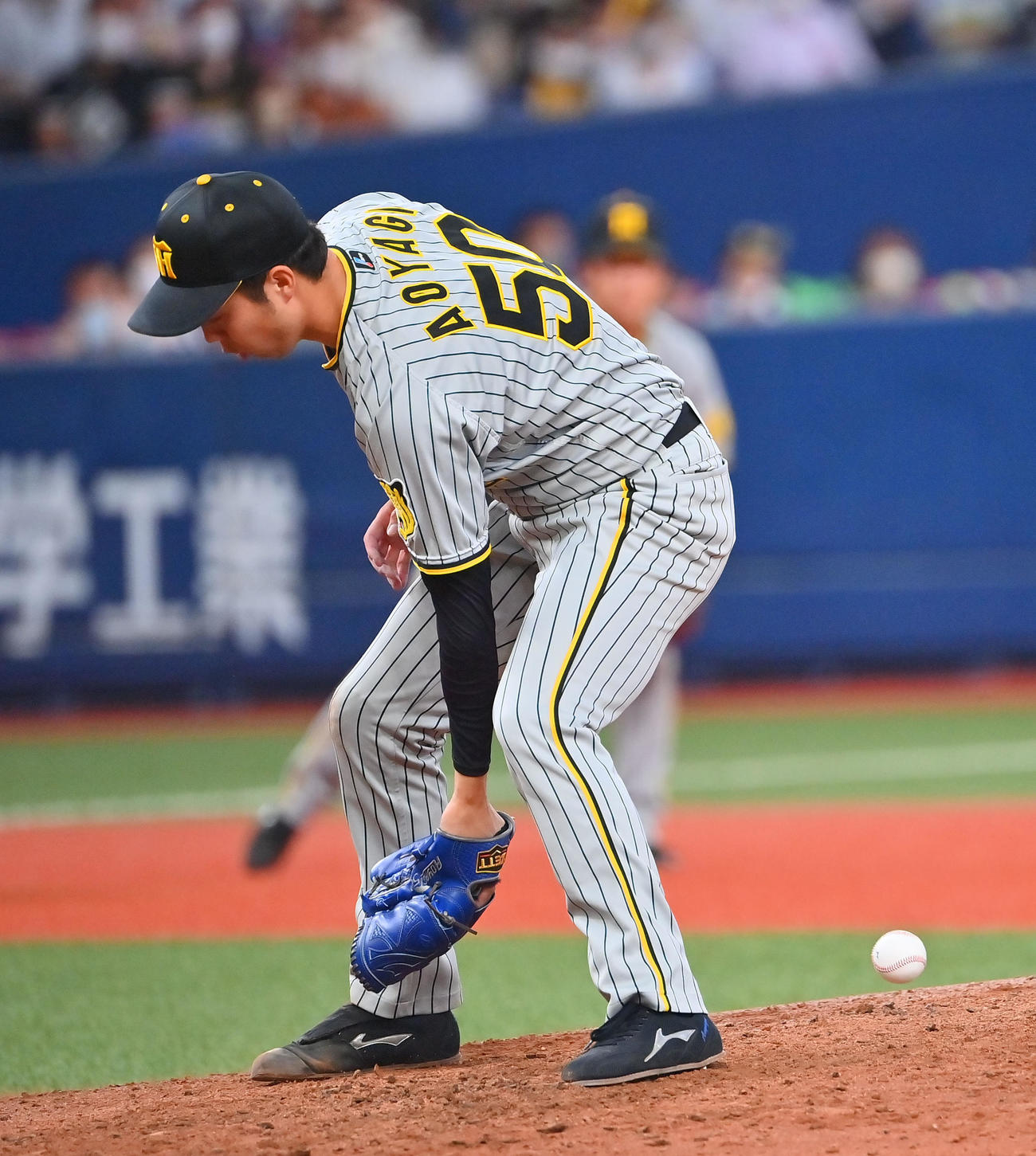 オリックス対阪神　7回裏オリックス2死、野口智哉の投手強襲を受ける青柳（撮影・和賀正仁）
