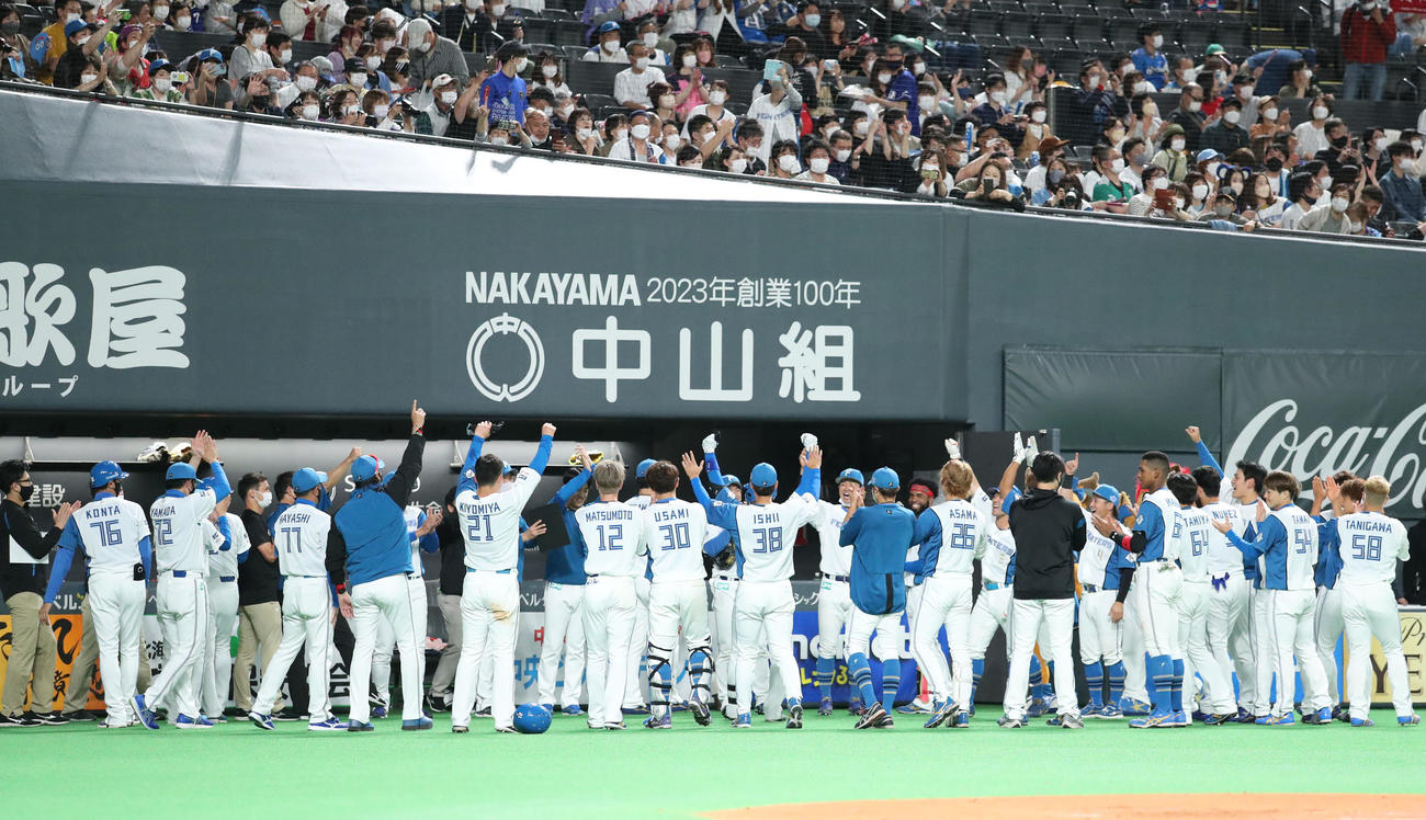 日本ハム対中日　サヨナラ勝利に円陣を組んで喜び合う日本ハムナイン（撮影・佐藤翔太）