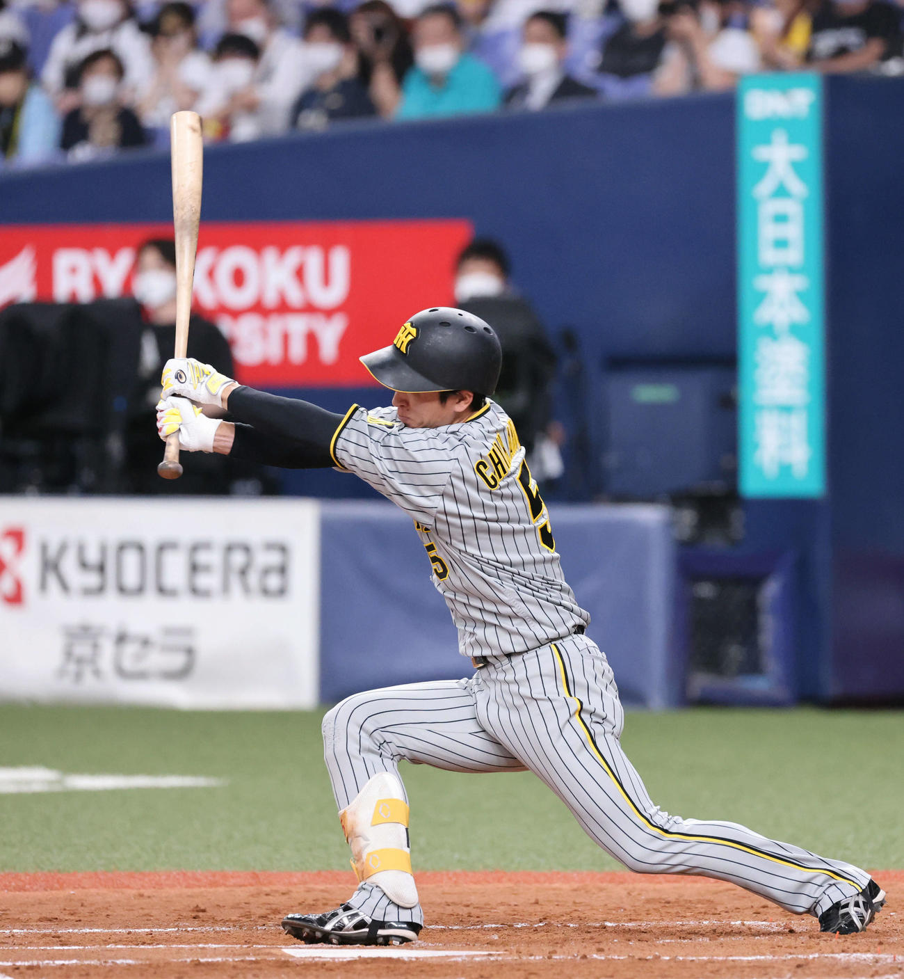 オリックス対阪神　3回表阪神2死、近本は中二塁打を放つ（撮影・加藤孝規）