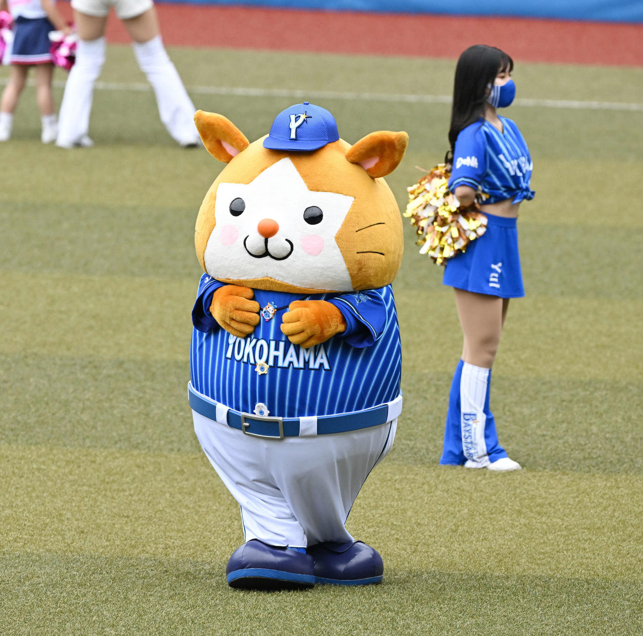 プロ野球　交流戦　ロッテ対DeNA　テスト送信＝2022年6月11日