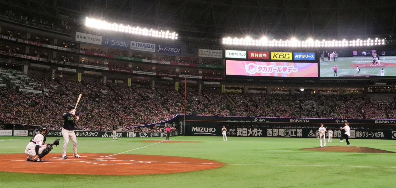 ソフトバンク対ヤクルト　タカガールデーで始球式を務めた板垣李光人(C)SoftBank HAWKS（球団提供）