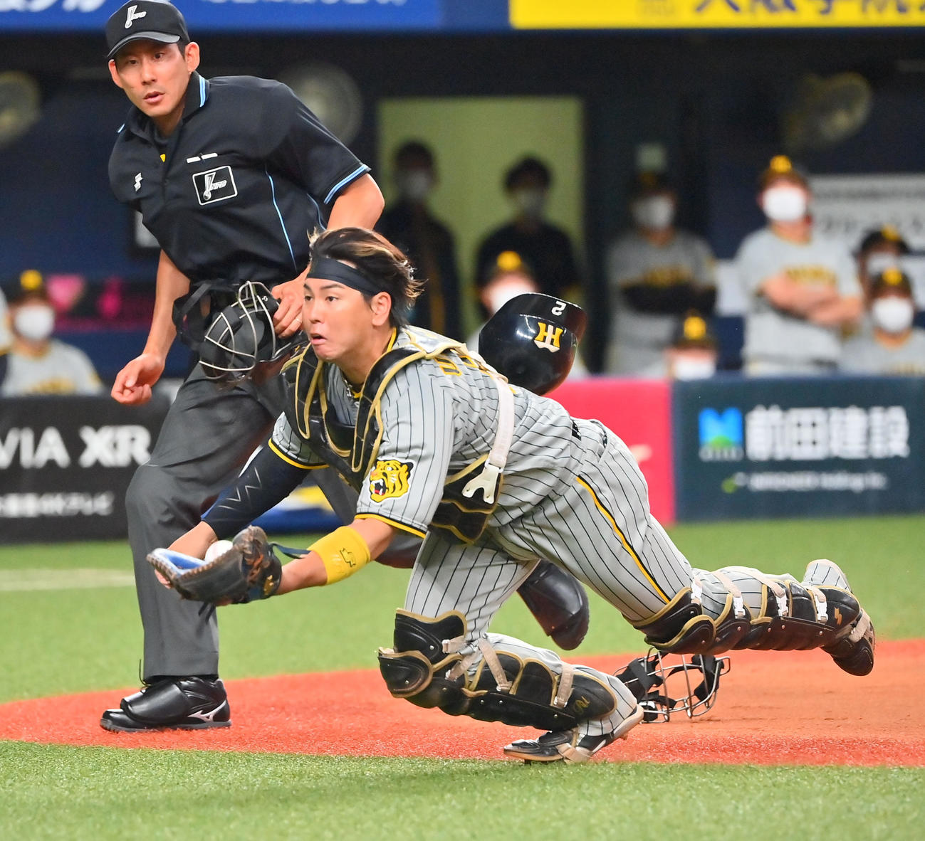 オリックス対阪神　10回裏オリックス無死一塁、中川圭のバント飛球を好捕する捕手梅野（撮影・和賀正仁）