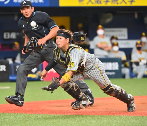 阪神】梅野隆太郎、執念のダイビングキャッチ！ 送りバントに飛び込み