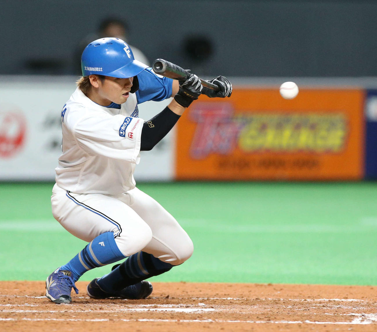 日本ハム対中日　5回裏日本ハム1死二、三塁、石川亮は2ランスクイズを決める（撮影・佐藤翔太）