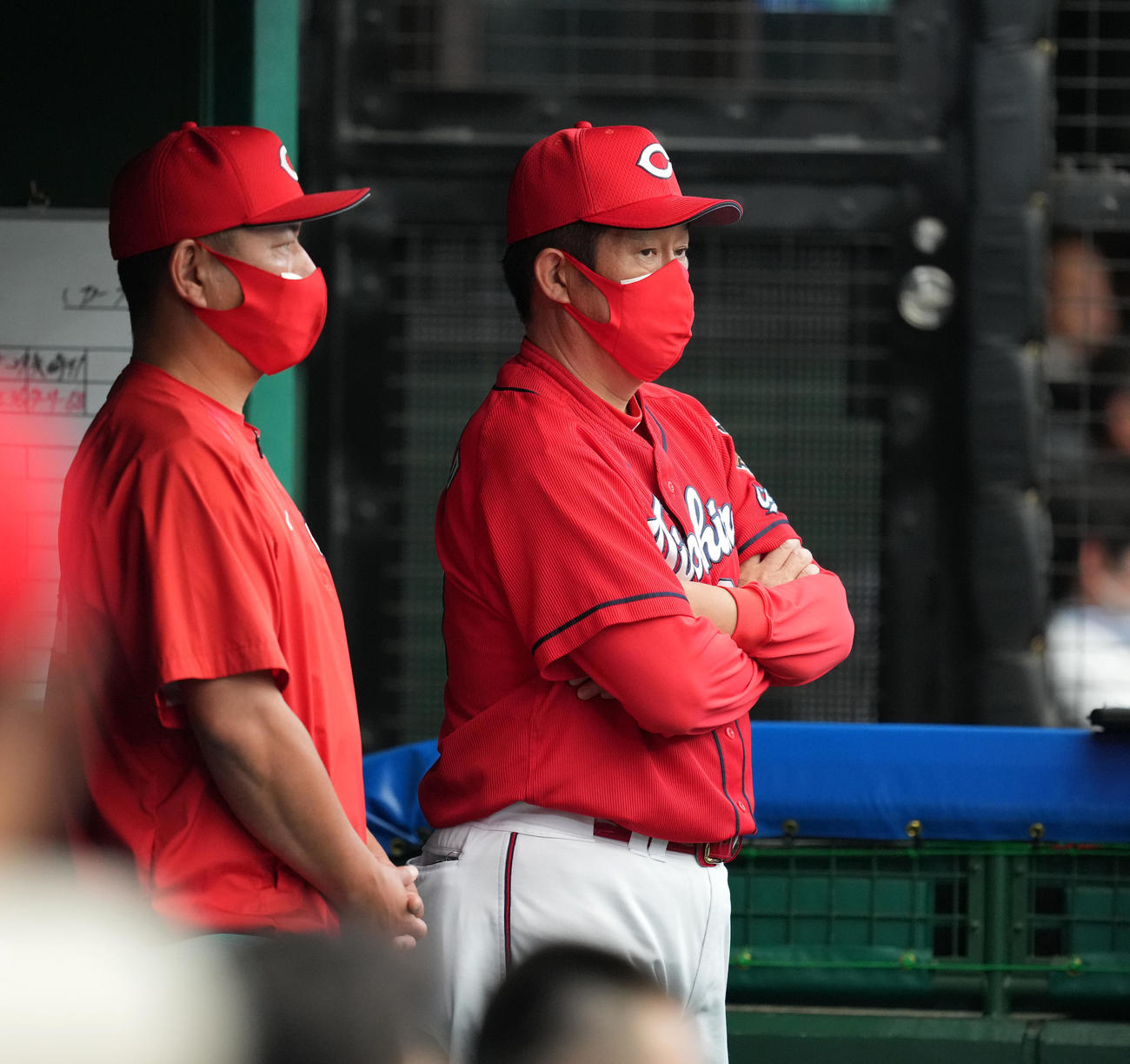 交流戦2本塁打に終わった広島の佐々岡真司監督（2022年6月12日撮影）