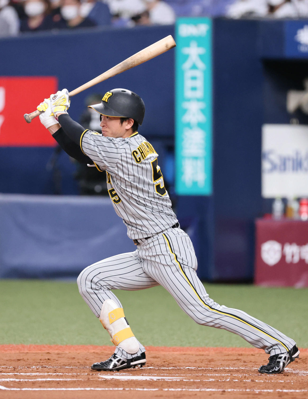 6月好調の阪神近本光司（2022年6月12日撮影）