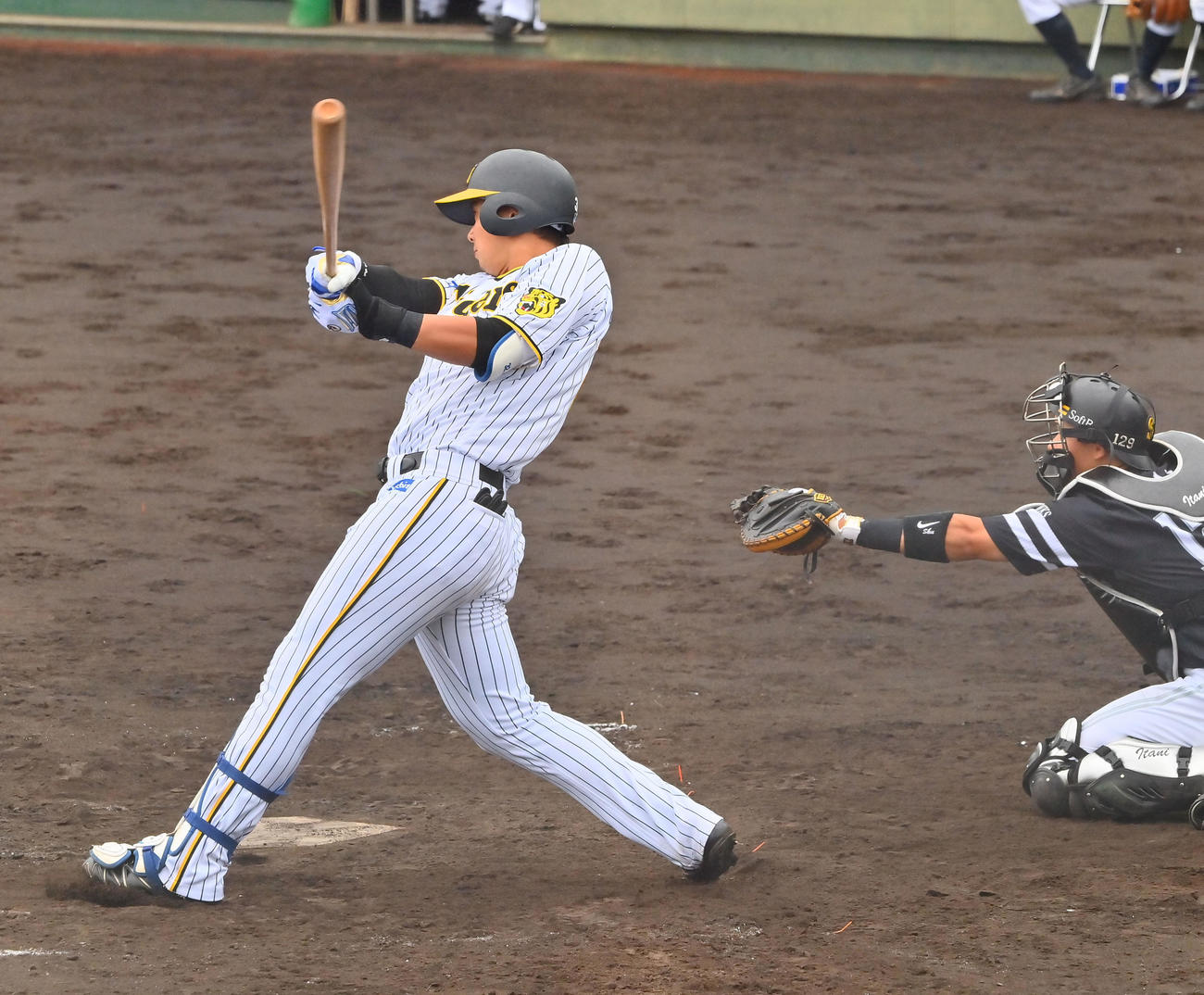 阪神2軍対ソフトバンク3軍　5回裏阪神1死一塁、右越えに逆転2点本塁打を放つ井上（撮影・和賀正仁）