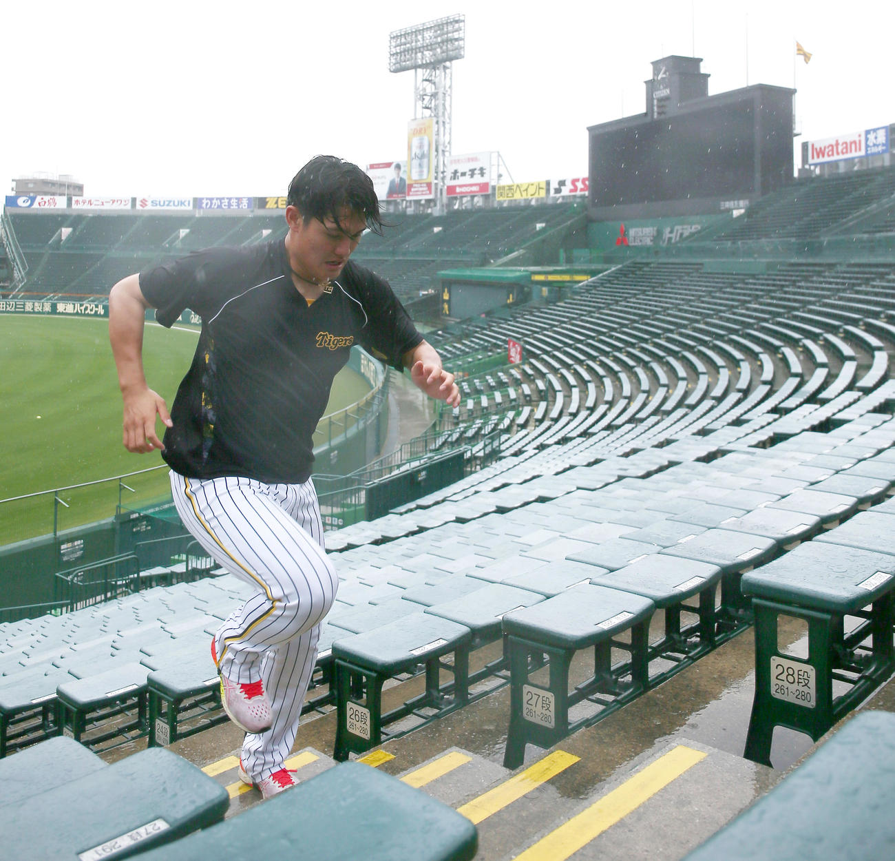 雨の中、外野スタンドの階段を駆け上がる阪神西純（撮影・上山淳一）