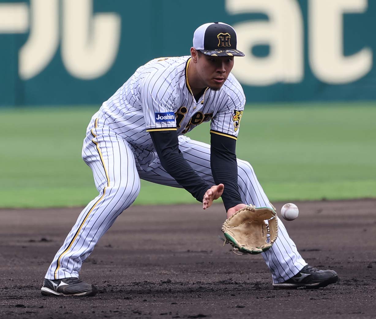 三塁でシートノックを受ける佐藤輝（撮影・上田博志）