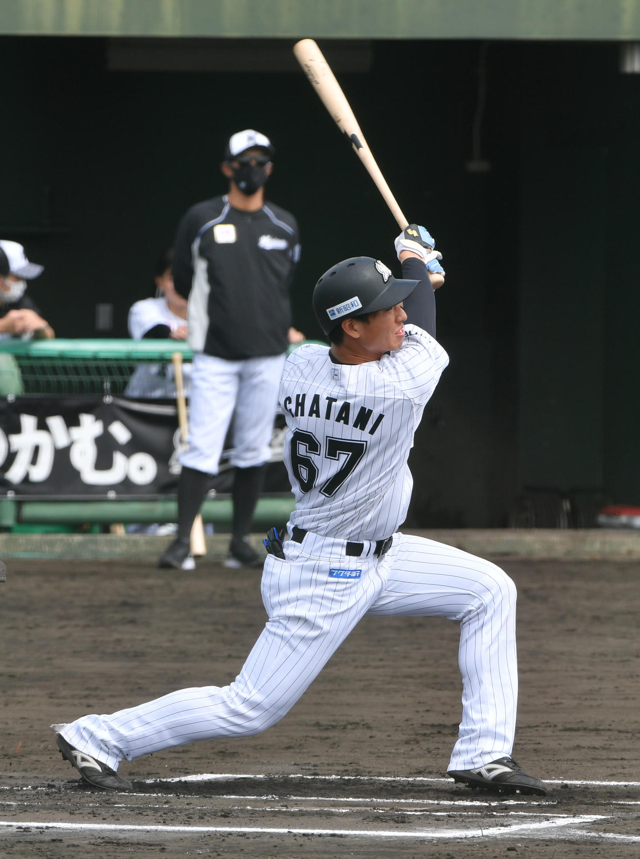 ロッテ茶谷健太（2022年2月11日撮影）