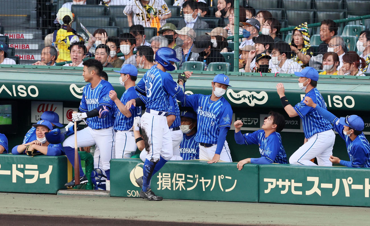阪神対DeNA 1回表DeNA1死一、三塁、三塁走者関根は牧の左犠飛で生還しベンチのナインとタッチする（撮影・加藤哉）