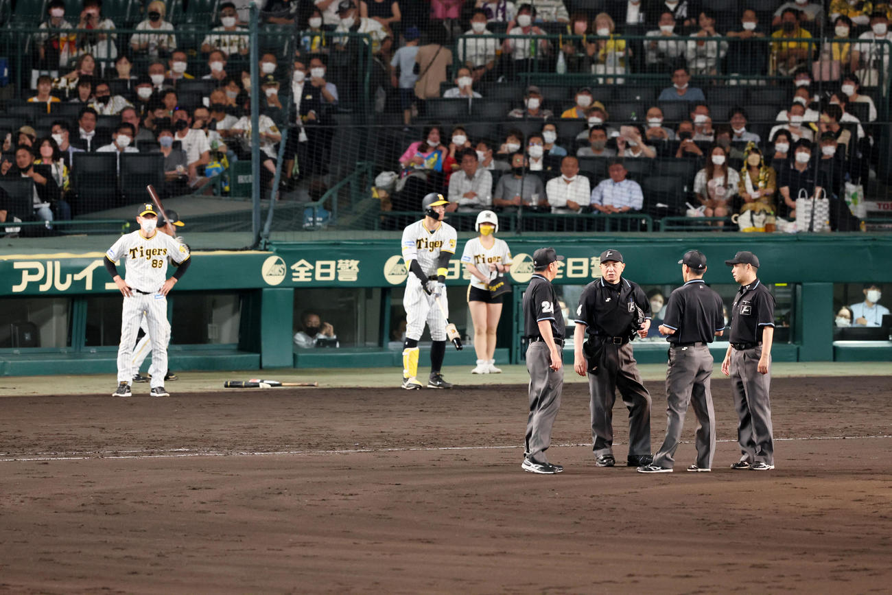 阪神対DeNA 7回裏阪神2死二塁、近本の中前適時打で相手の走塁妨害について競技する審判団と左は矢野監督（撮影・加藤哉）
