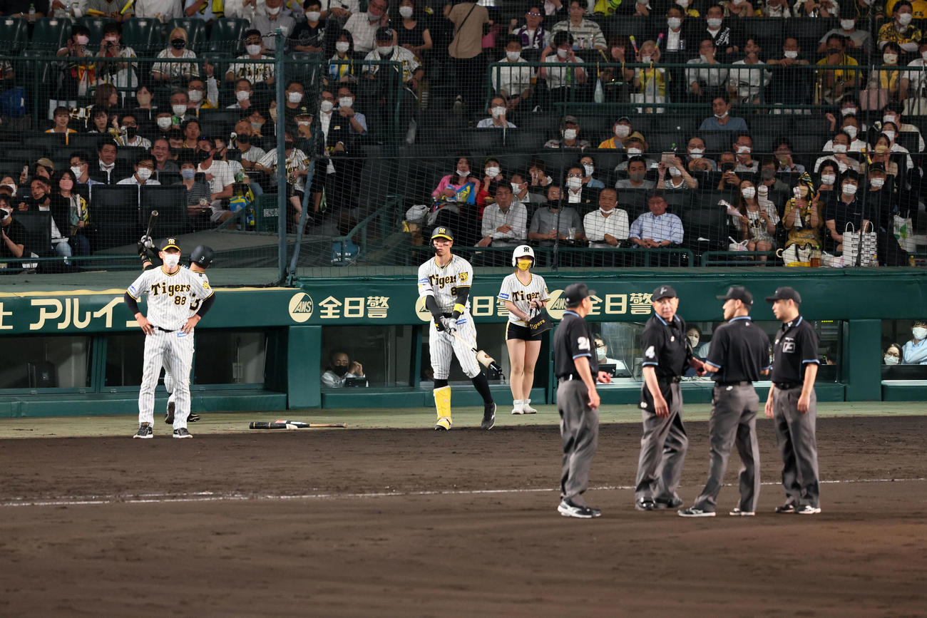 阪神対DeNA 7回裏阪神2死二塁、近本の中前適時打で相手の走塁妨害について競技する審判団と左は矢野監督（撮影・加藤哉）