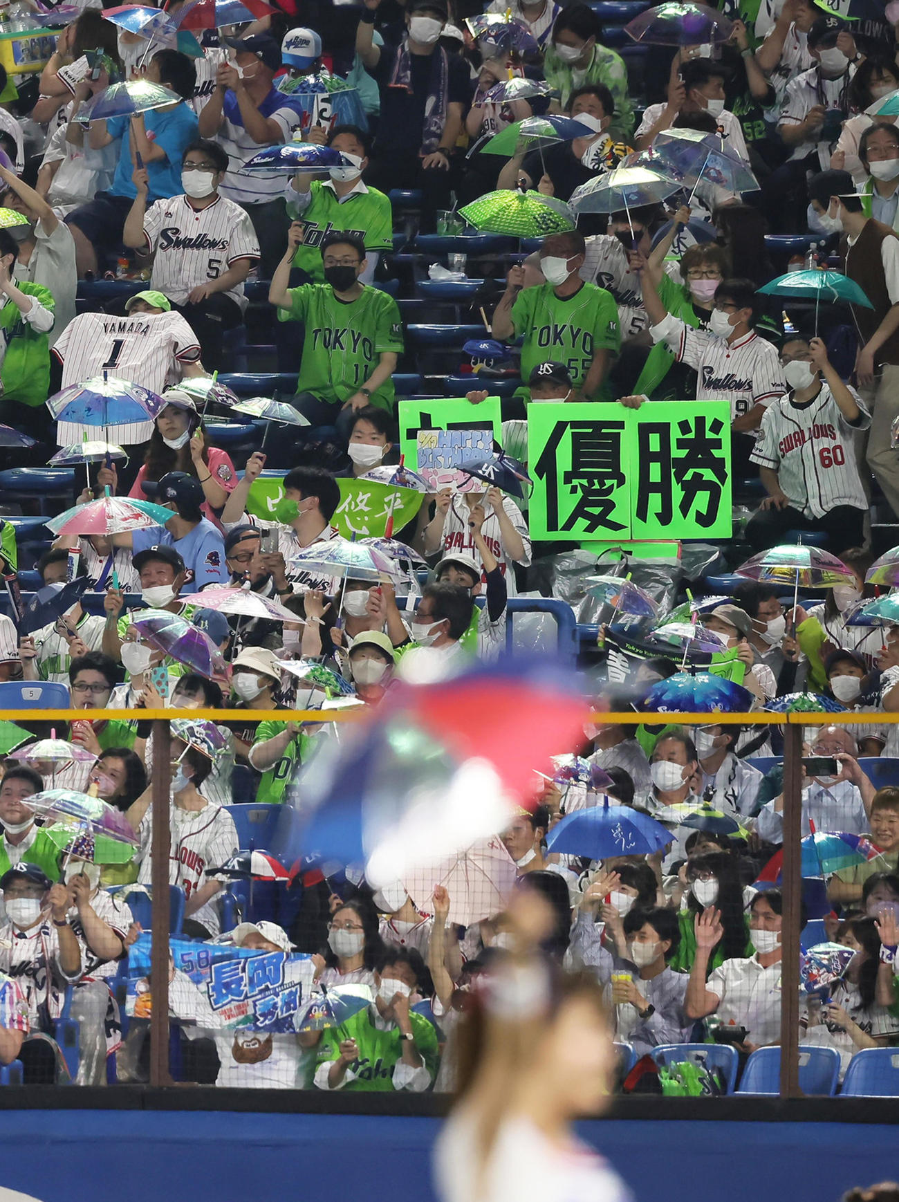 交流戦の優勝を祝うヤクルトファン（撮影・足立雅史）