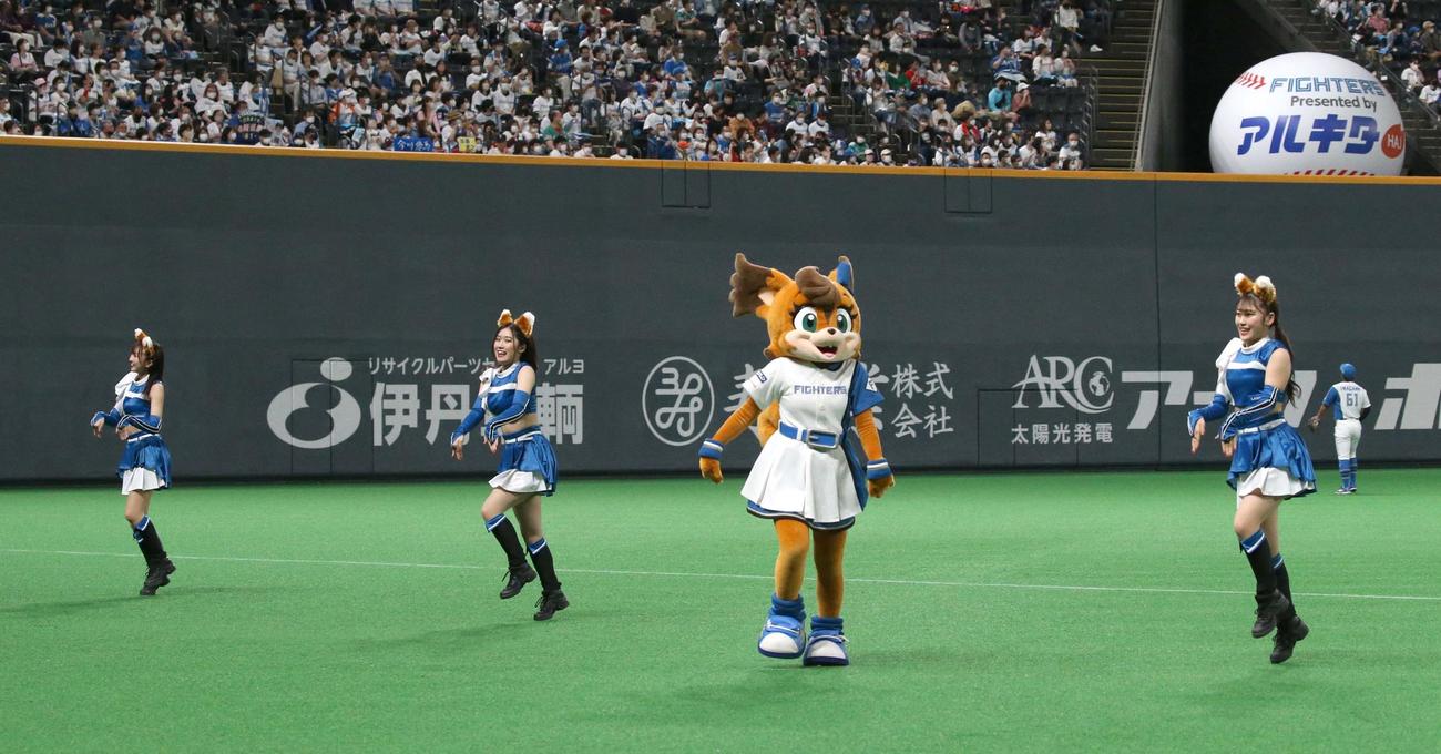 きつねダンスを踊るファイターズガール