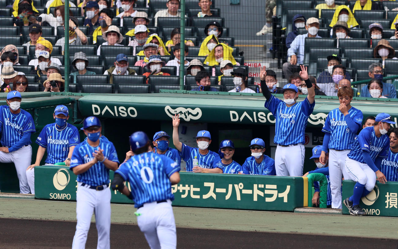 阪神対DeNA 1回表DeNA1死、大田の左越えソロ本塁打に喜ぶベンチのナインたち（撮影・加藤哉）