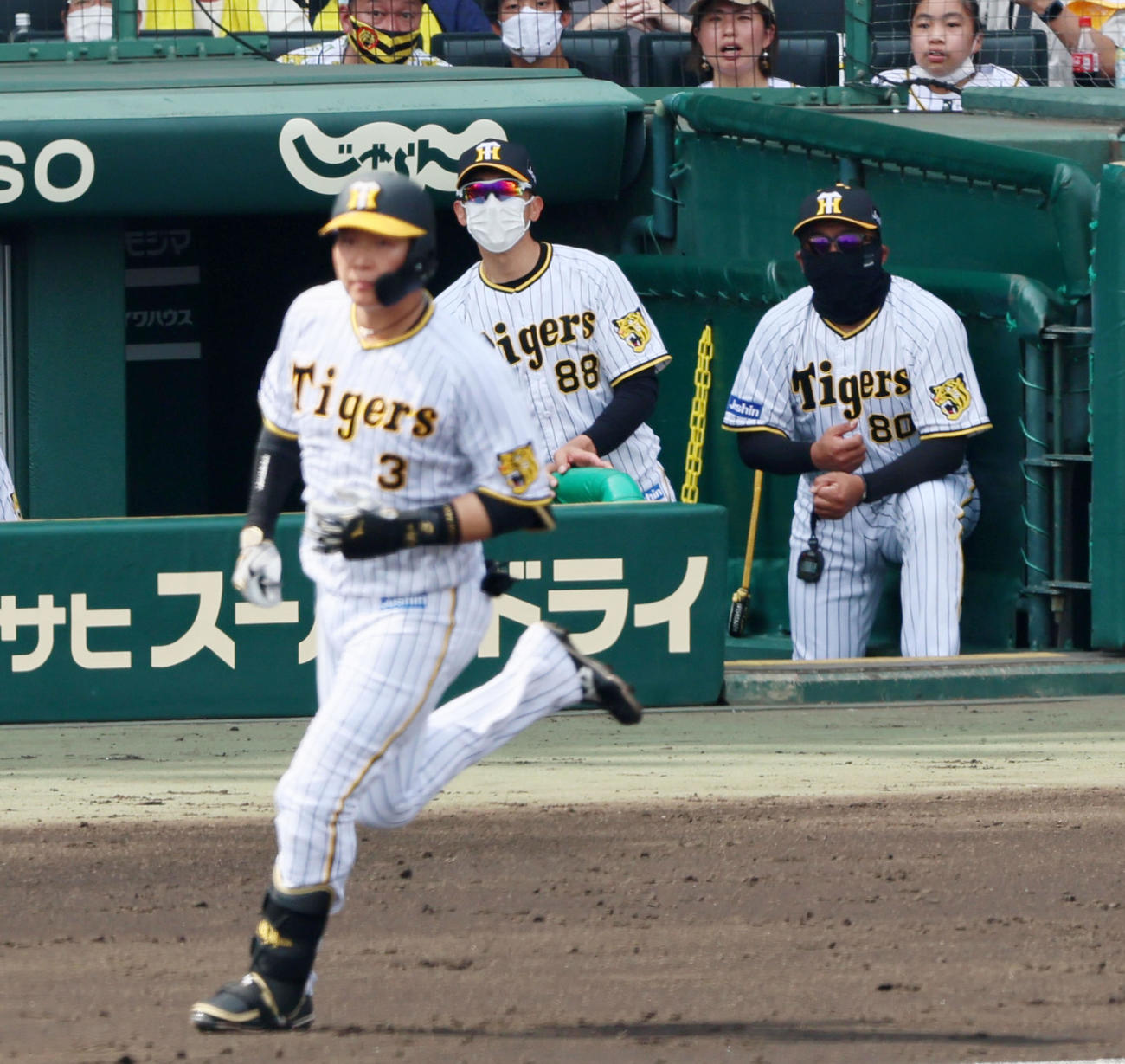 阪神対DeNA 3回裏阪神2死一塁、矢野監督は大山の打球をベンチから見守る（撮影・加藤哉）