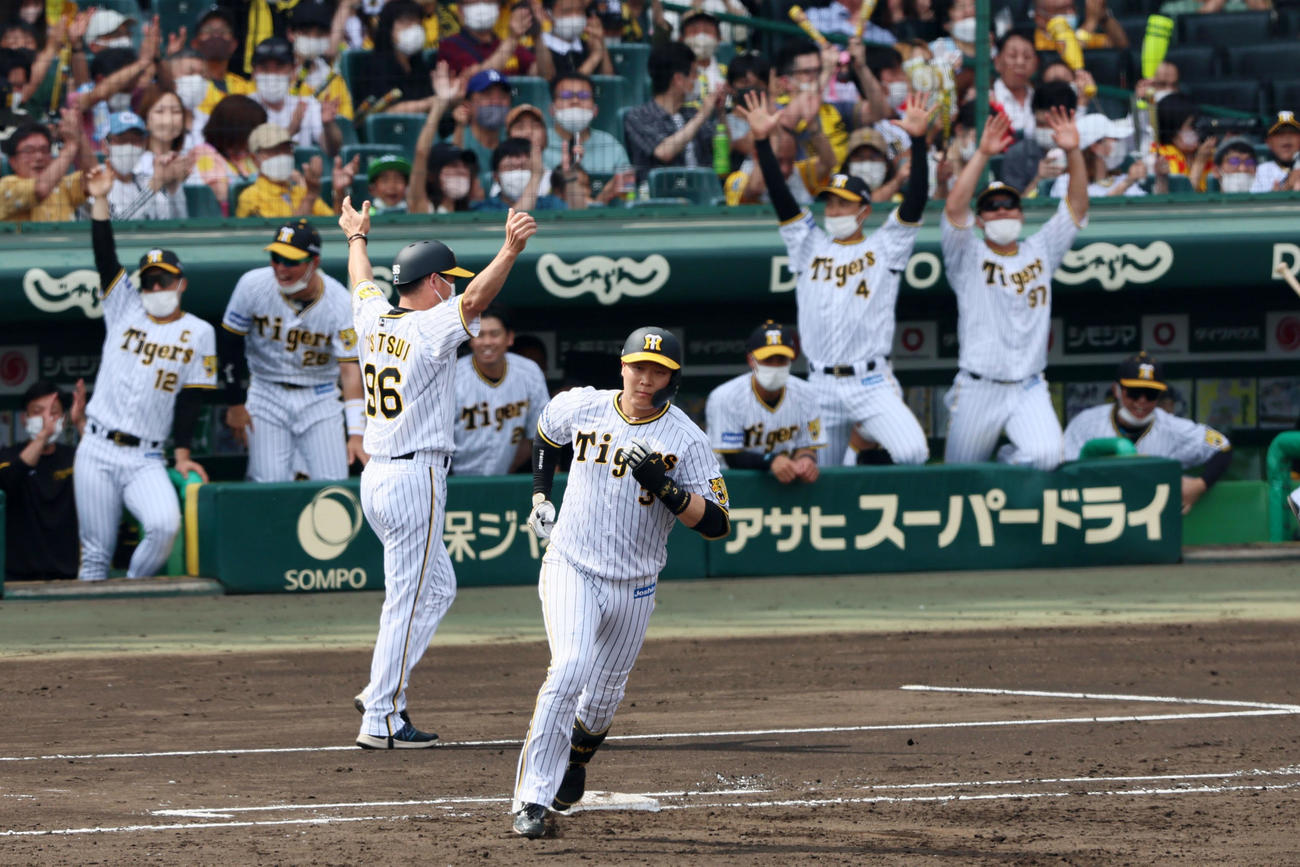 阪神対DeNA 3回裏阪神2死一塁、大山は中越え2点本塁打を放ちベンチのナインもバンザイ（撮影・加藤哉）