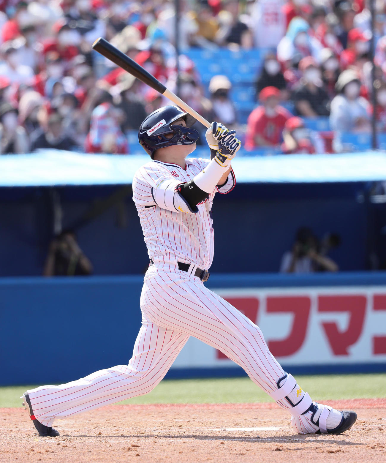 ヤクルト対広島　5回裏ヤクルト2死、2打席連続となる右越え本塁打を放つ村上（撮影・足立雅史）