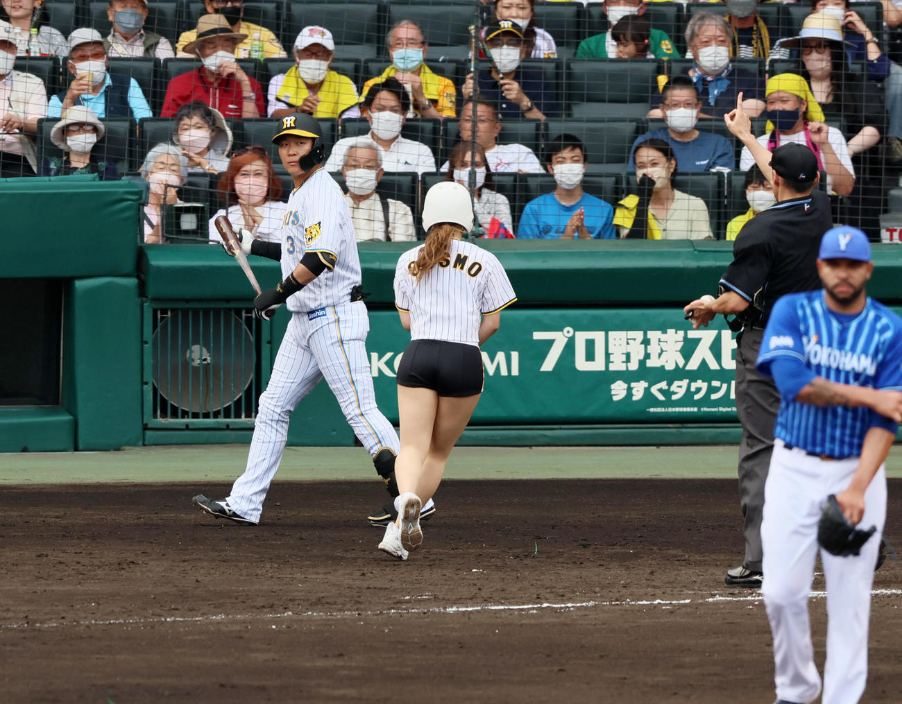 阪神対DeNA 7回裏阪神1死二、三塁、大山は申告敬遠で出塁（撮影・加藤哉）