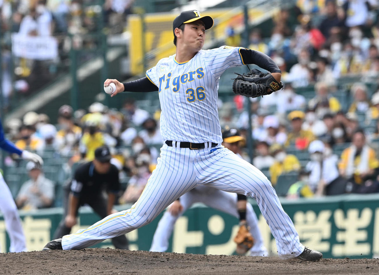 阪神対DeNA　阪神2番手の浜地（撮影・前岡正明）
