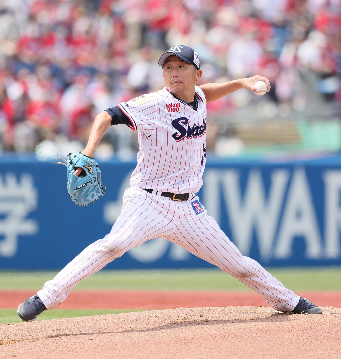 ヤクルト石川雅規（2022年6月撮影）