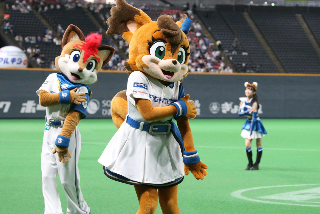 日本ハム　きつねダンスを踊る日本ハムマスコットのフレップ（左）とポリー