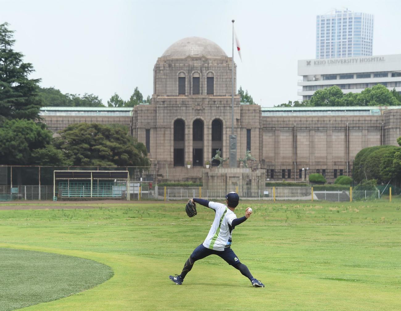 絵画館を背にキャッチボールを行うヤクルト小川（撮影・鈴木正章）