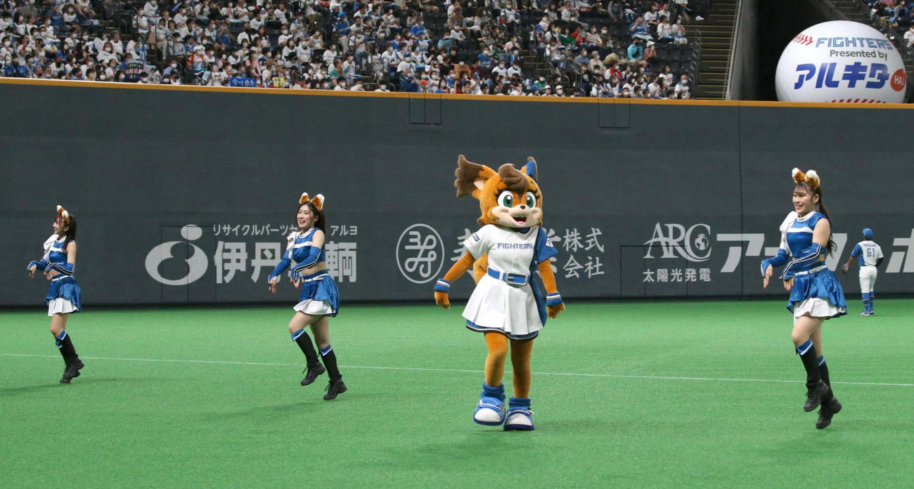 きつねダンスを踊るファイターズガール（2022年6月10日撮影）
