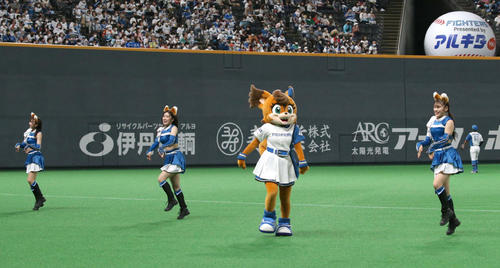 きつねダンスを踊るファイターズガール（2022年6月10日撮影）
