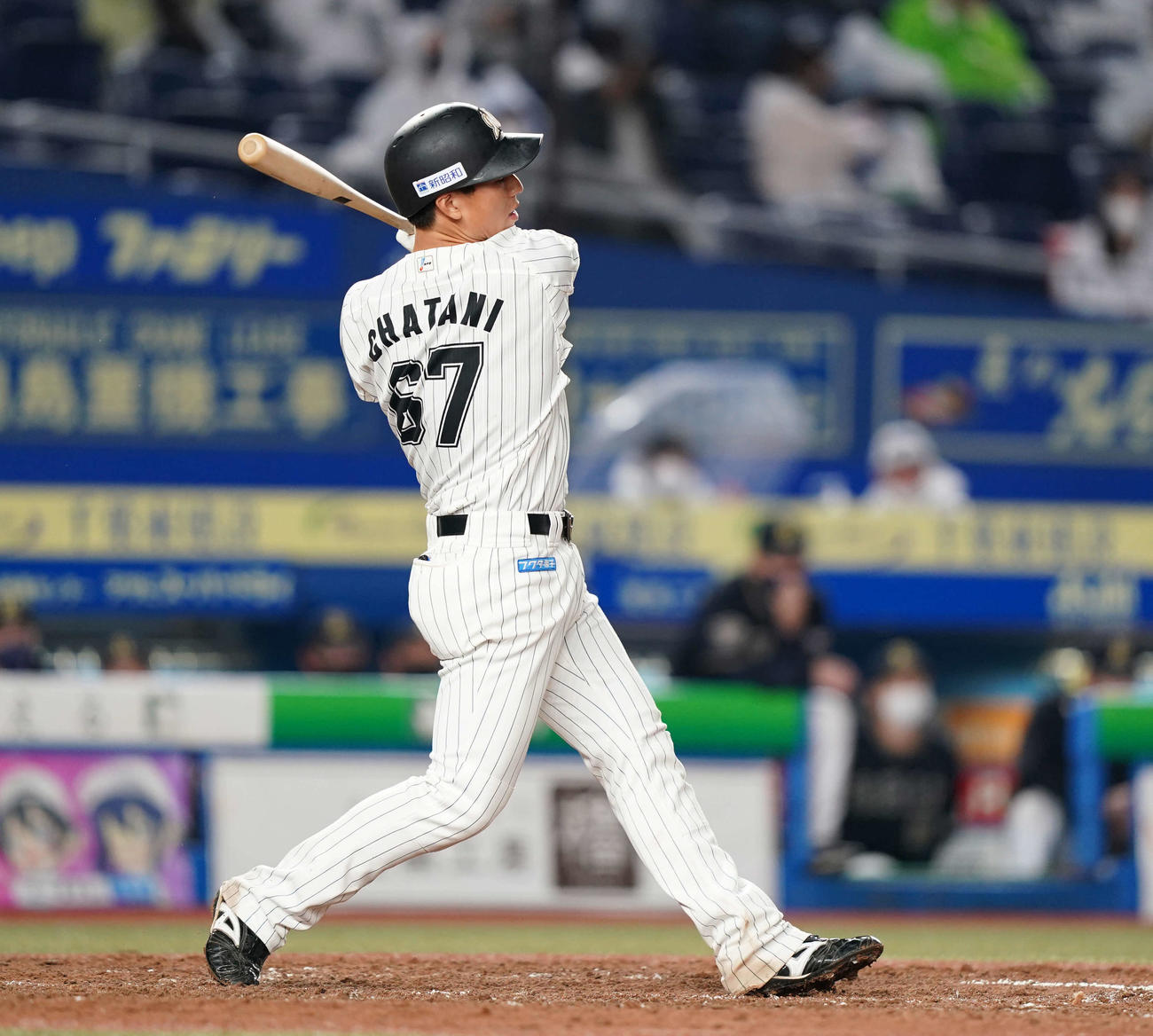 ロッテ茶谷健太（2020年10月7日撮影）
