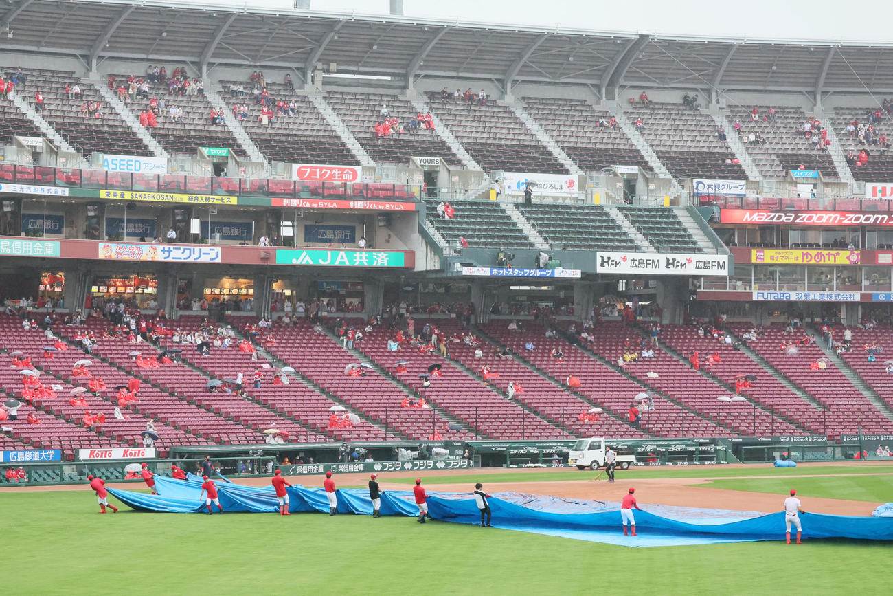 広島対阪神　強かった雨も小止みとなりグラウンドのシートをはがす係員たち（撮影・加藤哉）