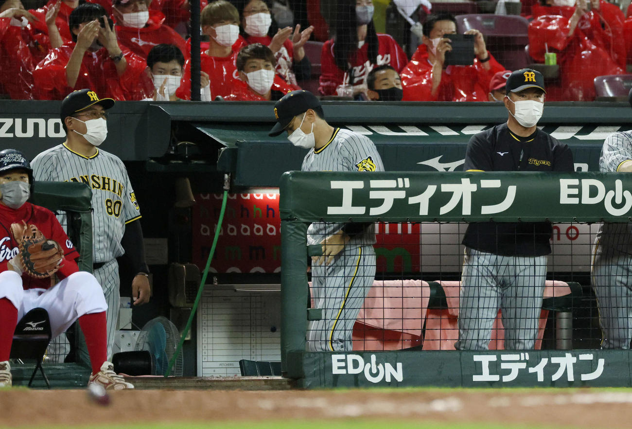 広島対阪神　広島に敗れベンチから引き揚げる矢野監督（中央）（撮影・加藤孝規）