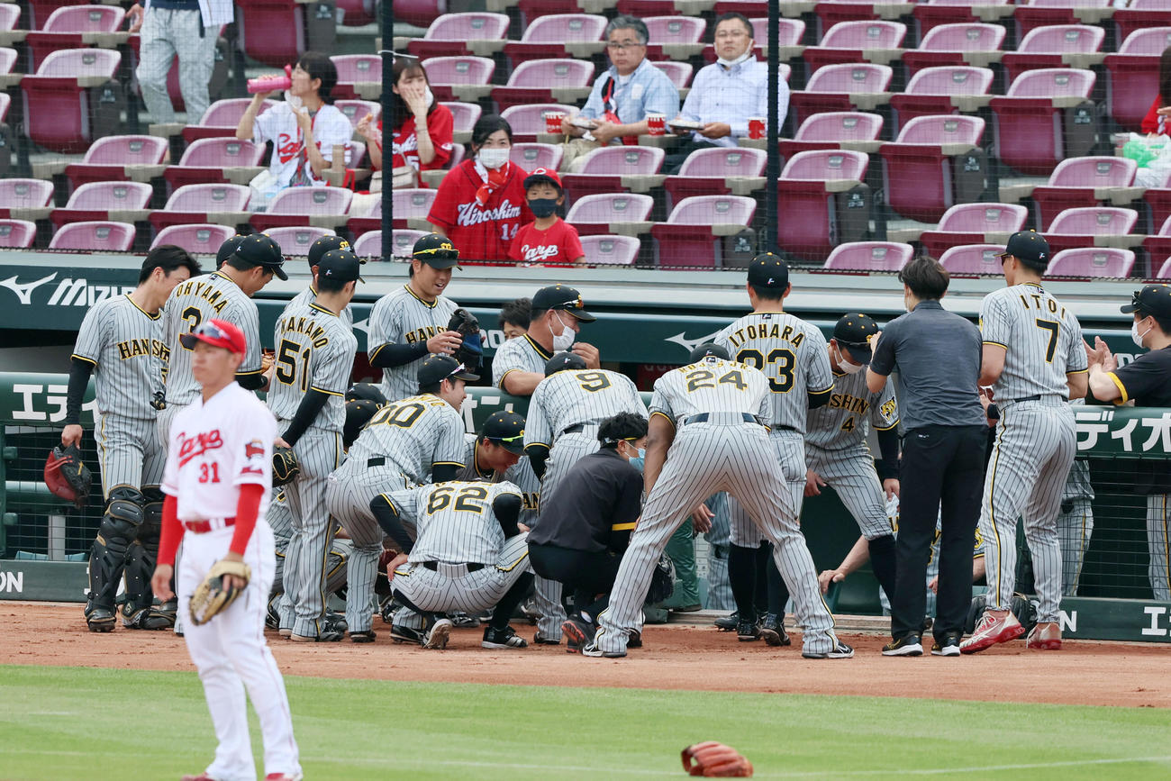 広島対阪神　試合前の円陣を組む阪神ナインたち（撮影・加藤哉）