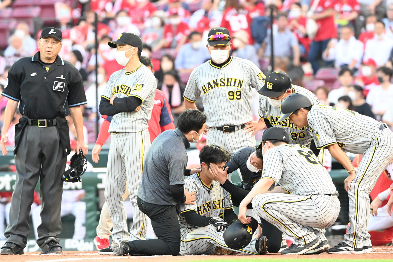 広島対阪神　3回表阪神2死一、二塁、近本の中前適時打で生還した中野（中央）は治療を受ける（撮影・前岡正明）