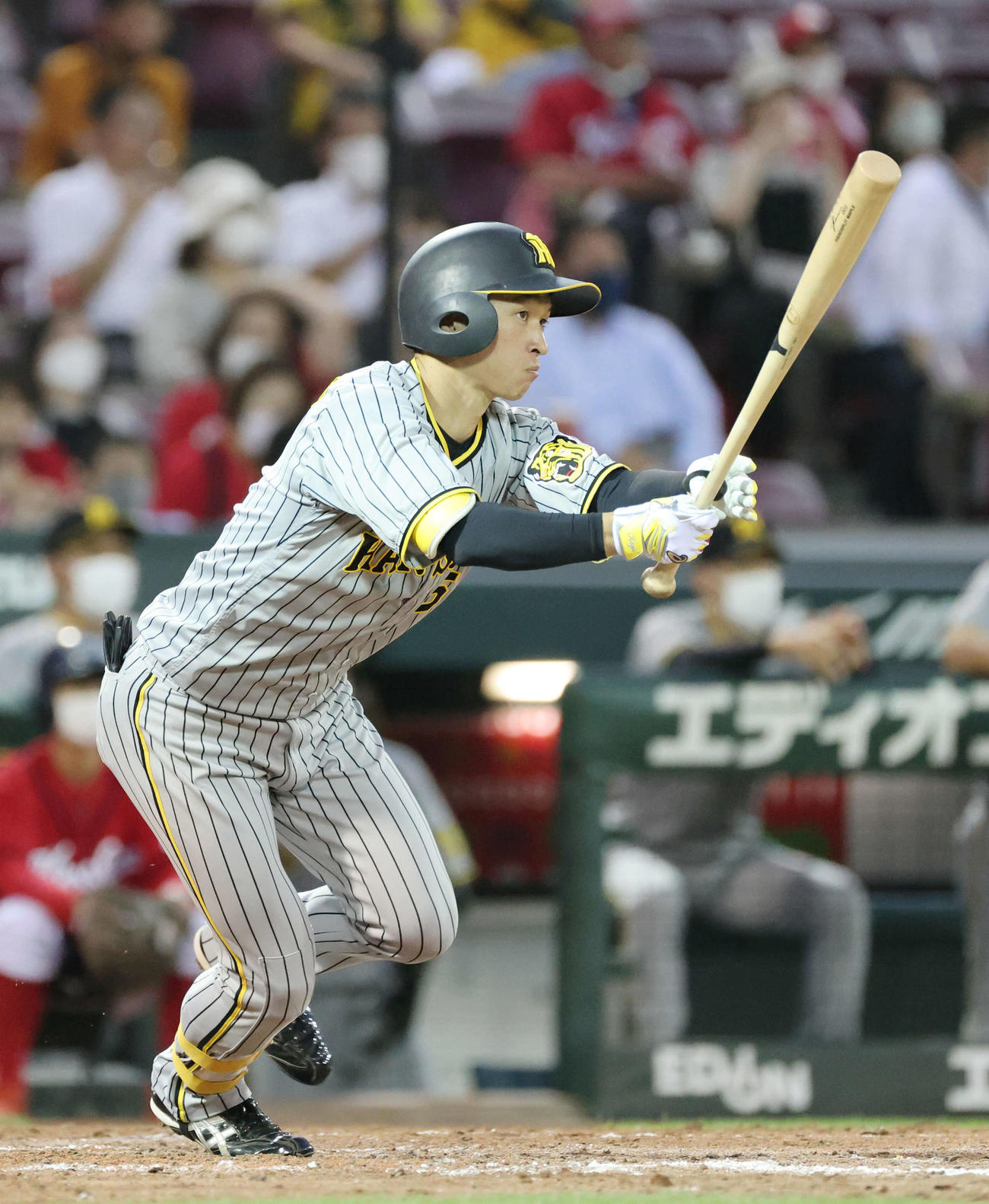 広島対阪神　5回表阪神1死一、二塁、近本は右前打を放つ（撮影・加藤孝規）