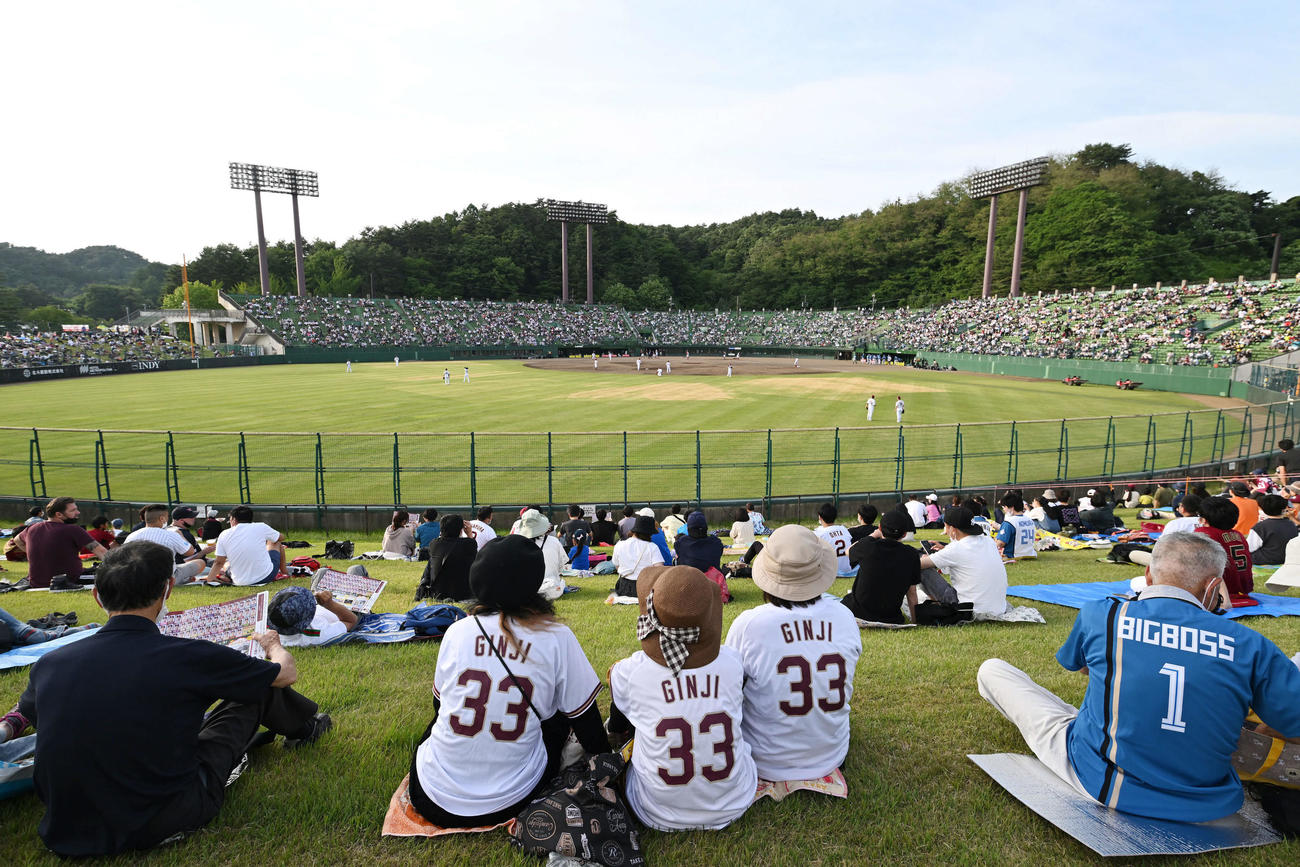 楽天対日本ハム　試合の開始を待つファン（撮影・滝沢徹郎）